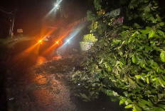 Ada 62 Titik Rawan Bencana, BPBD Kepahiang Imbau Masyarakat Tingkatkan Kewaspadaan