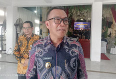 Soal Jalan Langgar Jaya, Pekan Depan Bupati Kepahiang Langsung Audiensi ke Kementerian PUPR