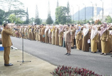 GAWAT! Baru Awal Tahun 2026, Sudah 3 ASN Kepahiang yang Gugat Cerai Suaminya