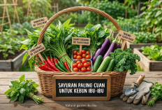 Cepat Panen dan Mudah Dijual, 5 Sayuran Paling Cuan untuk Kebun Ibu-ibu