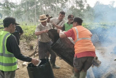 Warga Kabawetan Patungan Rp15 Juta Tampal Jalan Rusak, Begini Respon Bupati Kepahiang Zurdi Nata