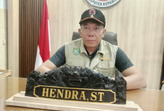 Hingga Agustus, 6 Kali Karhutla Landa Kepahiang! Pemkab dan BPBD Perketat Pencegahan