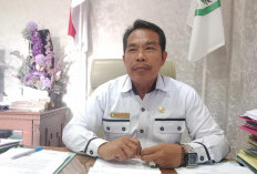 Total Rp23 Miliar, Kegiatan 2025 Pemkab Kepahiang yang di SPH Mulai Diaudit BPK!