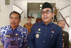 Tunggakan DBH dari Pemprov Bengkulu Tak Dibayarkan, Ada Apa?