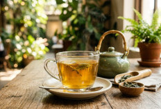 Untuk Diet Sehat, Konsumsi Teh Hijau yang Bermanfaat