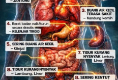 Pilihan Ramuan Herbal untuk Bantu Jaga Kesehatan Tubuh