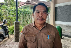 600an THL Dirumahkan, Pemkab Kepahiang Masih Butuh Sopir, Cleaning Servis dan Jaga Malam!