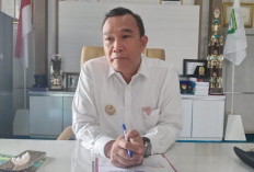 Bupati Kepahiang Zurdi Nata: Pemkab Kepahiang Proses Pemecatan ASN Terjerat Kasus Korupsi!