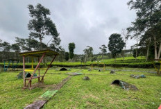 Polda Lakukan Penyelidikan, Ternyata Masih Ada TGR Tahun 2023 Disparpora yang Belum Tuntas!