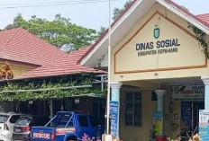 Mendaftar di Aplikasi Perlinsos Tak Jamin Otomatis Dapatkan Bansos, Ini Penjelasan Dinsos Kepahiang!