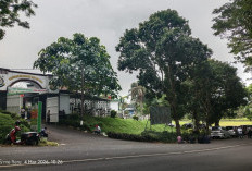 Kantor Kejaksaan Kepahiang Dipenuhi Masa, Ada Apa?