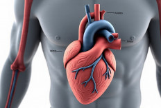 5 Tips Dasar Menjaga Kesehatan Jantung agar Tetap Prima