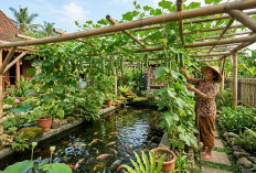 Estetik dan Produktif, Ini 3 Inspirasi Kebun Mentimum Rambat Diatas Kolam Ikan