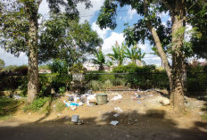 Jumlahnya Overload, Sampah di Kepahiang Bukan Cuma Tugas Pemerintah