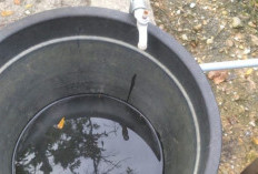 Aneh! Sudah Seminggu di Pematang Donok Air PDAM Mati Sebagian