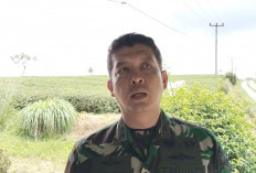 Tinjau Lahan Eks PT. TUMS, 50 Ha untuk Dibangun Batalyon TP