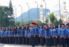 MENGEJUTKAN! Segini Besaran THR PPPK Paruh Waktu di Kepahiang