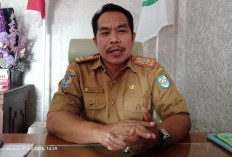 ​Awasi Kegiatan Tanaman Pangan, Tim BPKP Bengkulu Turun Langsung Cek 9 Item di Kepahiang