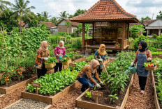 Mudah Diterapkan dan Sukses, Ini 5 Ide Kebun Sayur untuk Ibu-ibu Koperasi!