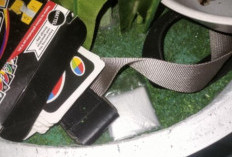 Heboh Dugaan Sabu di Toko Buah Kepahiang, Ternyata...