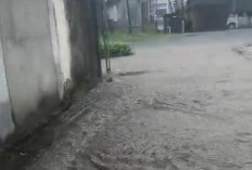 Intensitas Hujan Tinggi, Desa Pulogeto dan Suro baru Langganan Banjir