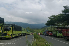 Antrean Truk Makan Badan Jalan Ring Road Kepahiang, Sopir Nginap Demi Solar Bersubsidi