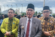 Status Honorer Dihapus Paling Lambat 31 Desember, Bagaimana Nasib 600 THL non Database di Kepahiang?