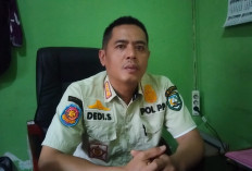 Memasuki Musim Panen Kopi, Satpol PP Perketat Pengawasan Perda Larangan Jual Beli Kopi Basah!