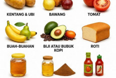 Cepat Rusak, Makanan Ini Sebaiknya Tidak Masuk Kulkas