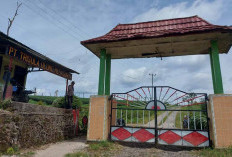 Lahan Eks HGU PT TUM Berbuntut Panjang, Bupati Zurdi Nata Gandeng KPK dan Komisi II DPR RI