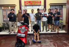 Gelapkan Motor Karyawan Apotek, Warga Jambi Dibekuk Elang Juvi Polres Kepahiang