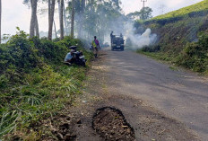 Tak Kunjung Diperbaiki, Warga Bogor Baru – Tangsi Duren Gotong Royong Tambal Jalan Provinsi Berlubang 7 KM