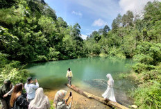 Ramai Dikunjungi Wisatawan, Danau Hijau Kepahiang Berpotensi Jadi Ikon Wisata