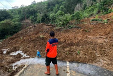 Terjadi 2 Titik Longsor di Kepahiang, Jalan Air Raman Longsor Susulan!
