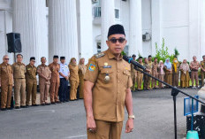 ASN Bolos Kerja 10 Hari Gajinya Diberhentikan, Wabup Hafizh: Atasan Jangan Hanya Diam!