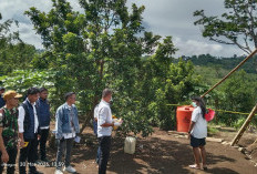 Hasil Autopsi Gita Sudah Keluar, Satreskrim Polres Kepahiang: Ranah Keluarga Ungkap ke Publik!