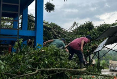 Cuaca Ekstreem Dinding Rumah Warga dan Pohon Tumbang Hantam Puskesmas di Kepahiang