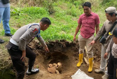 Penemuan Diduga 3 Tengkorak Manusia Masih Misteri, Forensi Hingga Ahli Sejarah Dilibatkan!