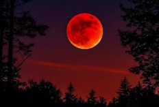 Blod Moon, Ternyata Ini Alasan Kenapa Bulan Berwarna Merah Saat Gerhana Bulan Total!