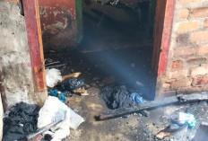 Merugi Puluhan Juta Rupiah, Rumah Warga Kepahiang Nyaris Ludes Kebakaran