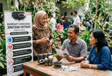 Untuk Kesehatan, Ini 5 Manfaat Jintan Hitam dan Efek Sampingnya