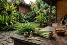 Aman dan Efektif di Rumah, Ini Cara Mengusir Nyamuk Pakai Bahan Dapur