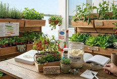 Solusi Kebun Mini Produktif di Lahan Terbatas, Tanam Buah Rambat di Pot Kecil!