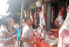 Pemkab Kepahiang Klaim Harga Bapokting Stabil Jelang Idul Adha, Daging Sapi Rp150 ribu Perkilogram