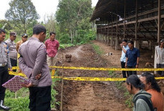Begini Kata Polisi Terkait Penemuan Diduga 3 Tengkorak Manusia Dalam Tempayan di Kepahiang!