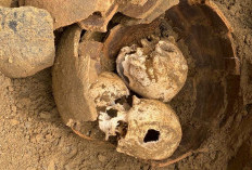 Kepahiang Geger! Diduga 3 Tengkorak Manusia Ditemukan di Dalam Guci
