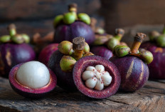 Khasiat Buah Manggis, 3 Penyakit Ini Dijamin Menjauh 