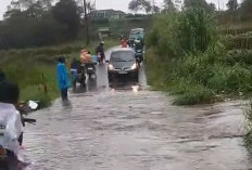 Kok Biasa Ya, Padahal Dataran Tinggi: Jalan Utama Wisata Kabawetan Kepahiang Direndam Banjir