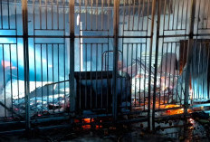 Amuk Si Jago Merah Dini Hari di Ujan Mas Atas, Dua Ruko Hangus Terbakar!