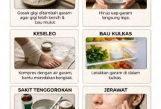 Bukan Cuma Penyedap Masakan, Ini Manfaat Lain Garam yang Jarang Orang Tahu 